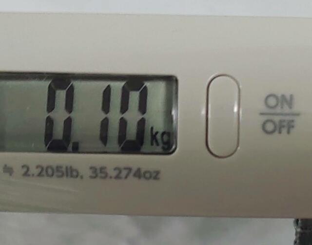 重さは0.10kgで、かなり軽い