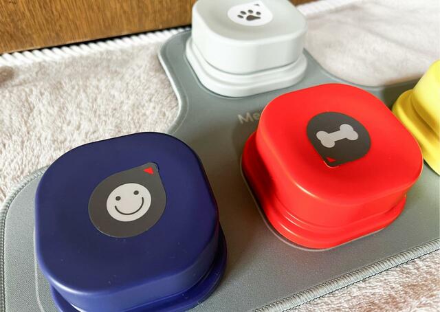 【犬の会話ボタン】録音した会話に合わせてシールを貼るとわかりやすい