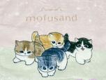【⼀番くじ mofusand／G賞：ハンドタオル／コースターセレクション】フリル付タオル／ムチムチのにゃんこたちが勢ぞろい♪癒し度満点です…！