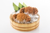 【厳選三特品】北海道近海産 毛ガニ イメージ
