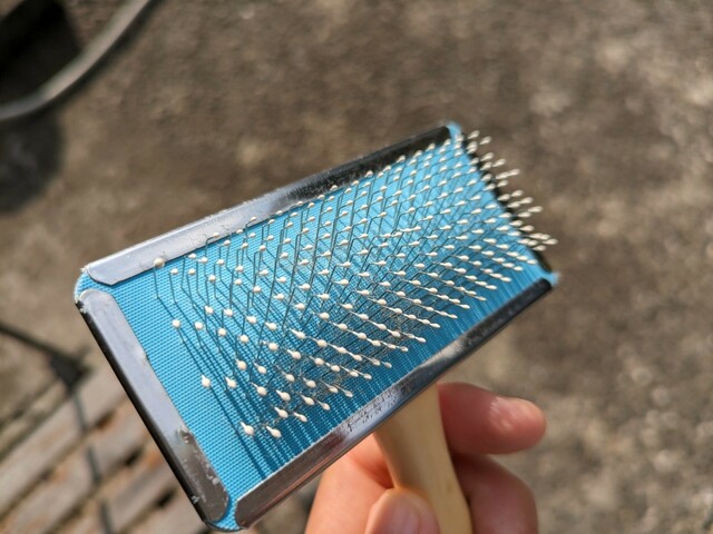 【ダイソー ペット用ブラシ】ピン先は丸くコーティングされていてペットの地肌にやさしい