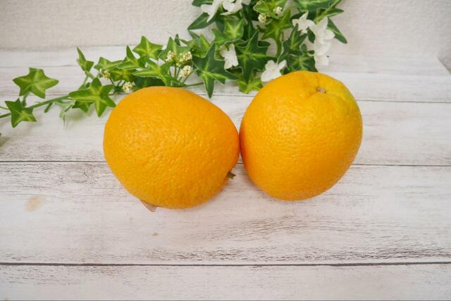 【冷凍フルーツ オレンジ】オレンジは冷凍にぴったり