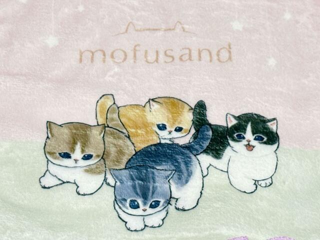 【⼀番くじ mofusand／G賞：ハンドタオル／コースターセレクション】フリル付タオル／ムチムチのにゃんこたちが勢ぞろい♪癒し度満点です…！
