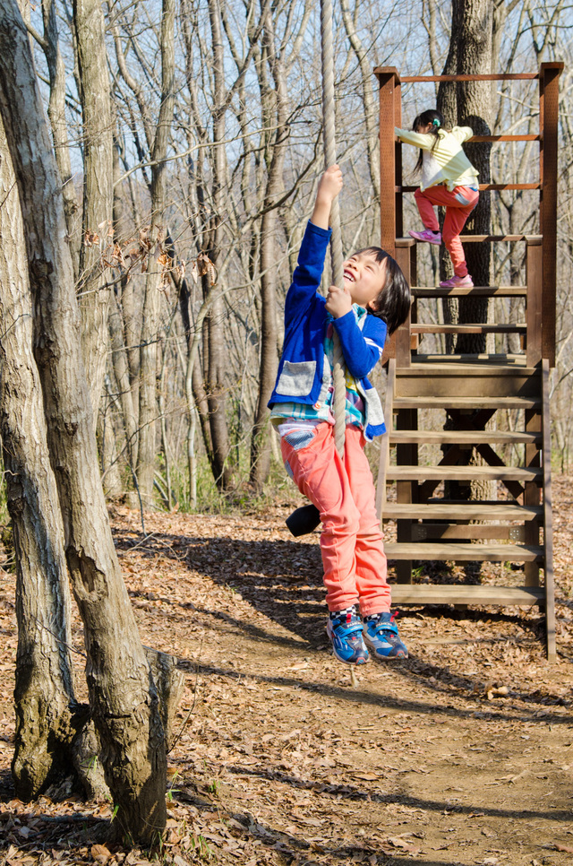 「ハローウッズ 遊びの森」