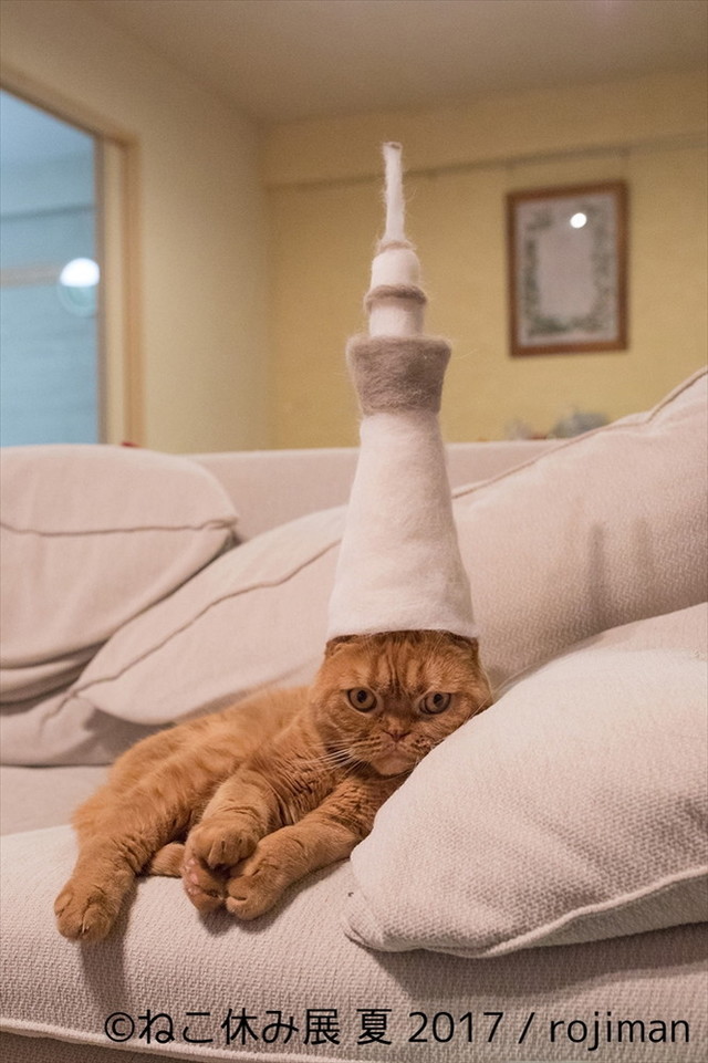 ねこ休み展 夏 2017