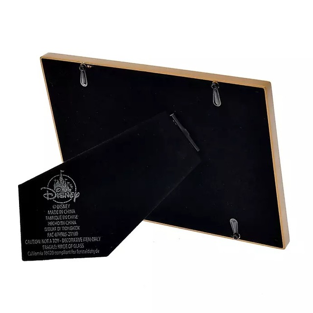 フォトフレーム 城 WALT DISNEY World 50TH CASTLE 3,960円