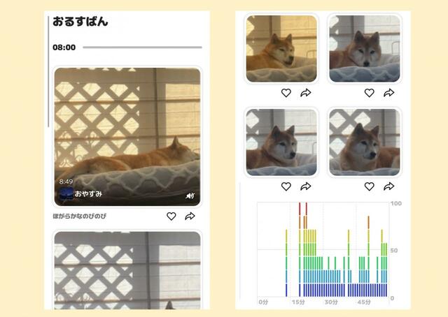 【オトとりっぷ】その日のお留守番の様子を振り返れる