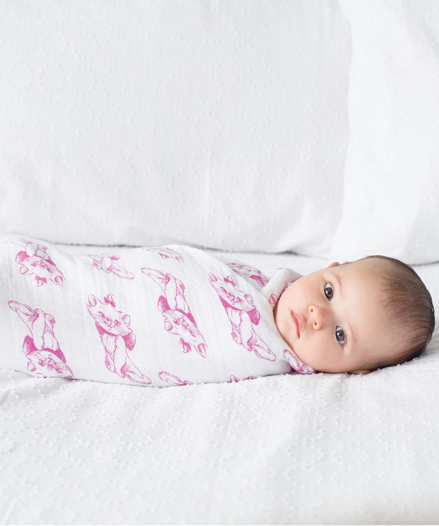 エイデンアンドアネイ スワドル（発売日未定）