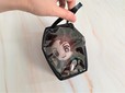 【セリア】ヲタコレ ぬいぐるみポーチ 棺