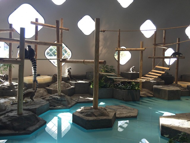 「うごきにふれる」ゾーン