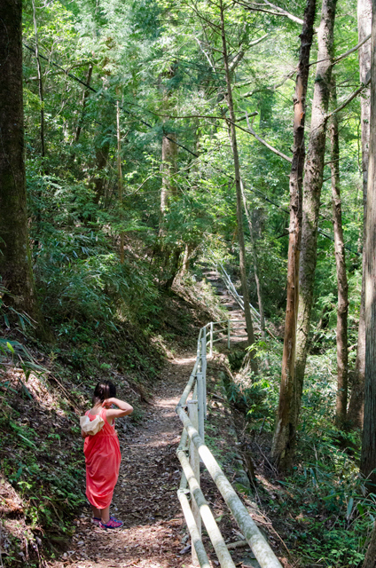 自然豊かな遊歩道