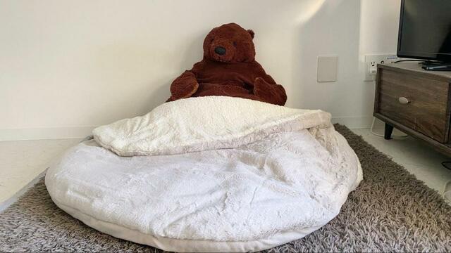 【ニトリ　入れるクッション】ニトリの「入れるクッション」が最高に温かいとSNSで話題に！