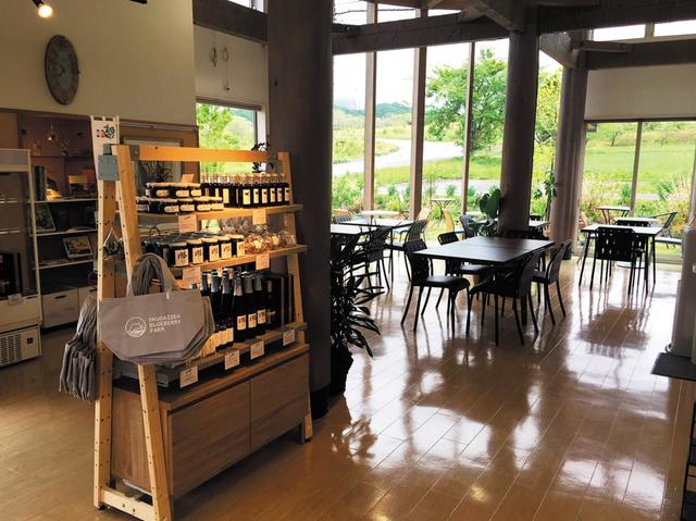 【大山・米子エリア】奥大山ブルーベリーファーム｜ジャムなどはおみやげにぜひ