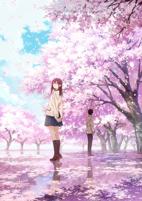 桜の下に佇むふたりの姿を描いた劇場アニメ「君の膵臓をたべたい」キー