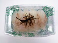 「刺身 自家製昆布〆 ひらめ」480円(税込)