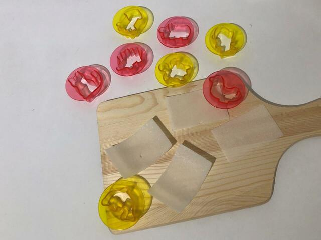 動物や海の生き物などが大集合