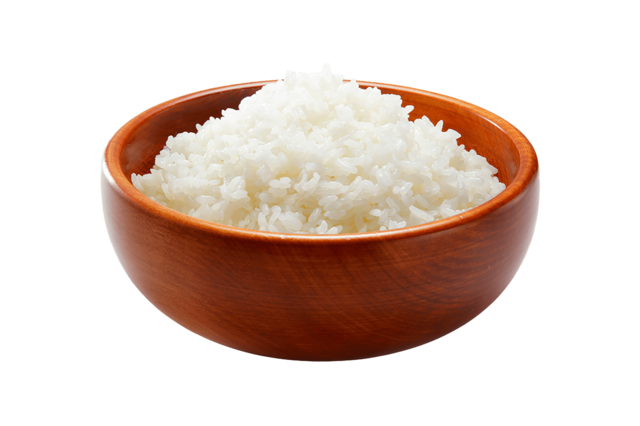 【びっくりドンキー】ガリバーバーグステーキ専用 ガリバーライス