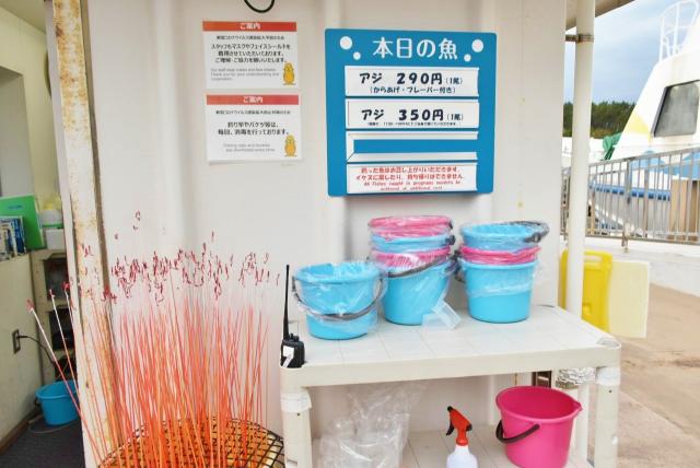 うみファーム魚釣り参加料 650円 （貸し竿・貸しバケツ・エサ込み）