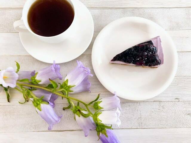 とにかく鮮やかで目でも楽しめます！【スターバックス】ブルーベリーレアチーズケーキ（1ピース）店内飲食価格：495円（税込）