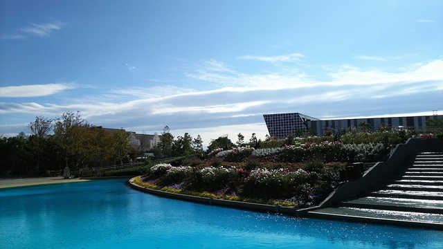 フラワーラグーン