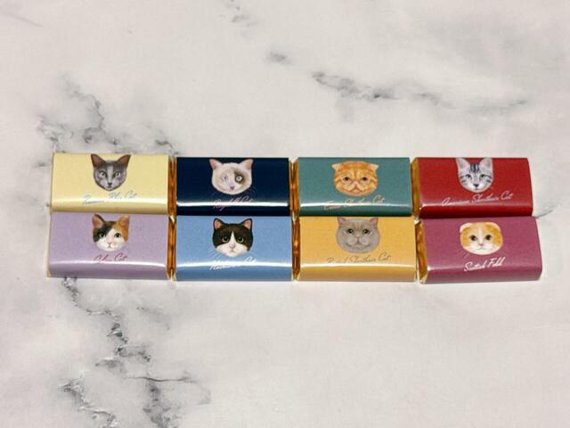 【カルディ キャット メモパット チョコレート】チョコレートのパッケージにもさまざまなネコちゃんが♪