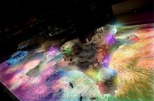 ぬるぬる＆にょろにょろな不思議ないきものたち／「ペンギン花火」イメージ