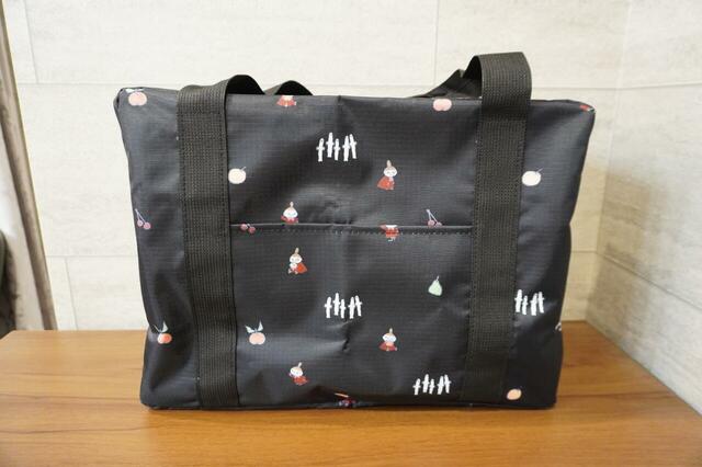 正面から見たところ