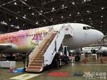 特別塗装機「JAL Colorful Dreams Express」