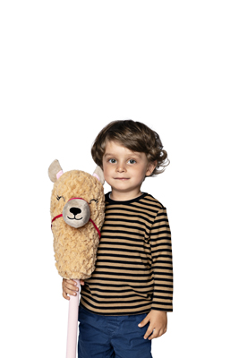 アルパカスティック