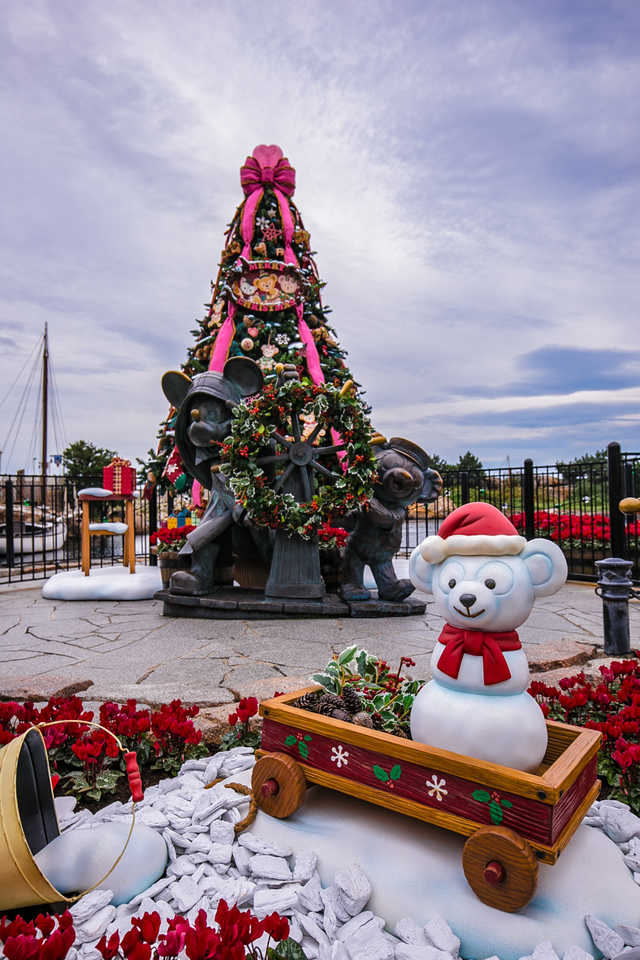 ケープコッドのクリスマスツリー