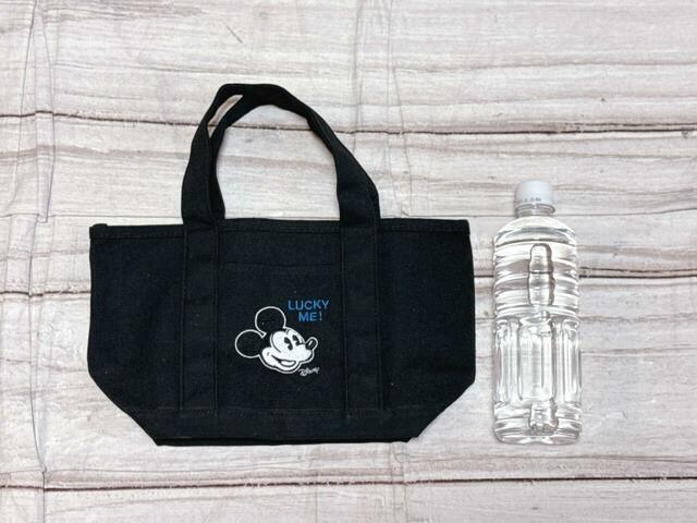 サイズは（約）高さ19×幅32［最大］×マチ12cm