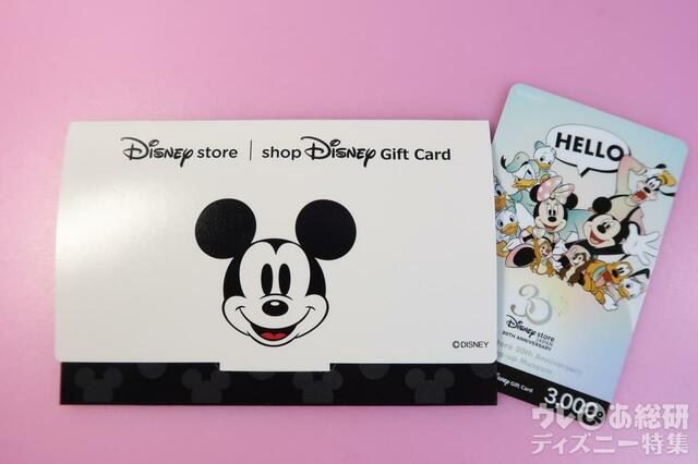 ディズニーストアギフトカード　プラスチックタイプ(販売終了柄)　カードを入れてくれるケースもかわいい (現在はディズニーストア.jp)
