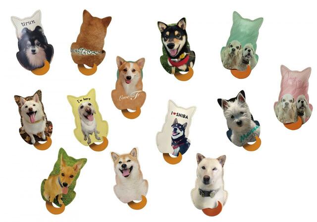 ワンちゃんによって、個性が出る仕上がりに！