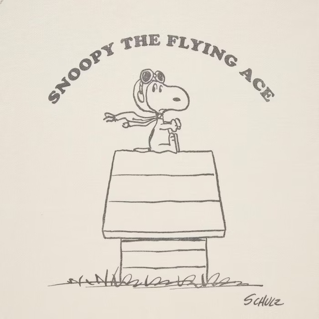 ピーナッツ ユー・キャン・ビー・エニシング！ スウェットシャツ（長袖）2,990円｜ユニクロ UT