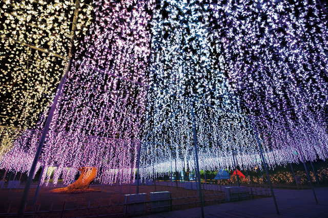 あしかがフラワーパーク 光の花の庭 Flower Fantasy