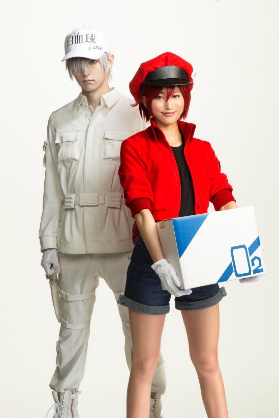 © 清水茜／講談社・アニプレックス・davidproduction