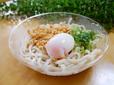 半熟玉子の冷しぶっかけうどん