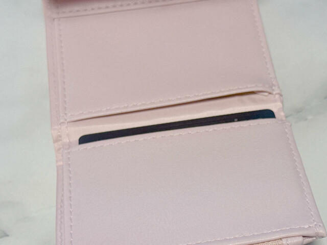 カードポケットにカードを入れてみました