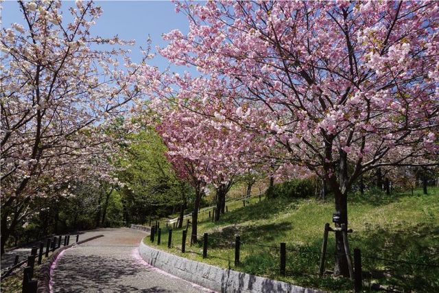 東山動植物園春まつり｜名古屋市東山動植物園