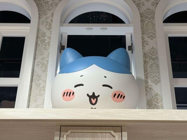 右側上部にはハチワレも！かわいい…！