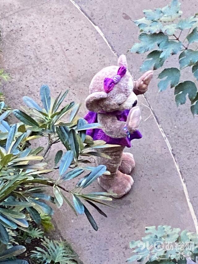 アウラニで会えるキャラクター