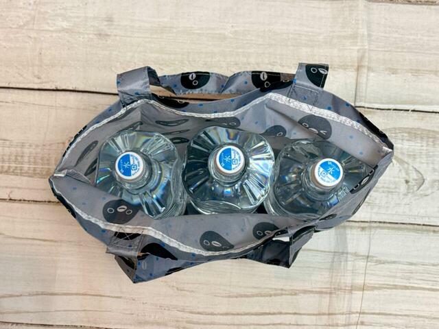 実際に2Lペットボトルを入れてみたところ、立てた状態で3本収納できました!