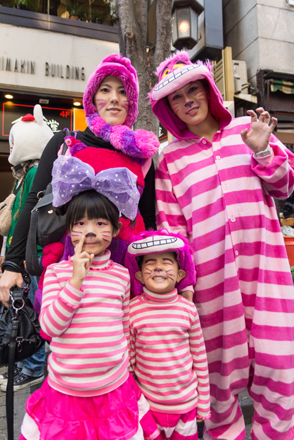 かわいい猫、イケメン猫…超凝った“猫コスプレ”