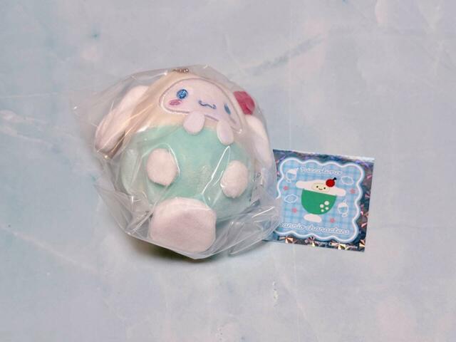 推しのシナモンが来てくれました。歓喜…!