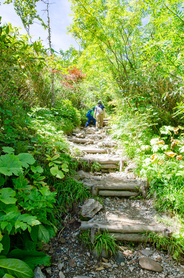 楠川を渡って以降は、ちょっとしたトレッキングに｜栂池自然園
