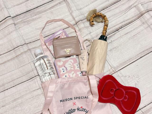 入れたものはこちら。大きめサイズの2段式折りたたみ晴雨兼用傘も、斜めにすればすっぽり収まります!