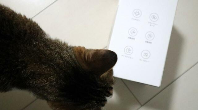 【SwitchBot 見守りカメラ 】新しいものが届いたときの恒例リアクション「角でスリスリ」