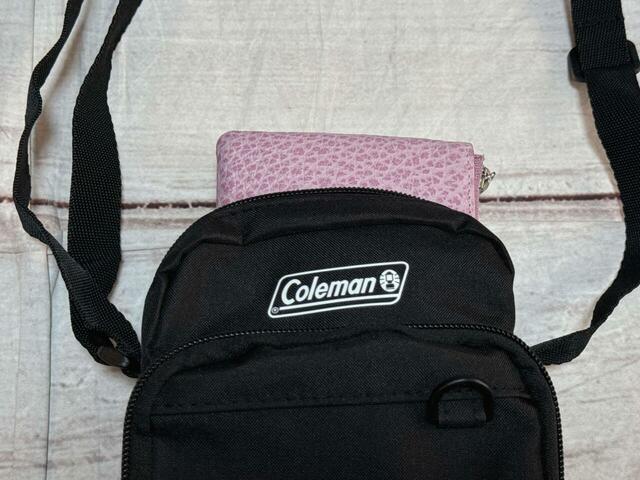 メイン収納は長財布が収納できる大きさ