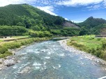 長良川鉄道から見た風景