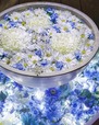 【あしかがフラワーパーク「光の花の庭」】イルミネーション作品を花手水で表現「光の花手水」